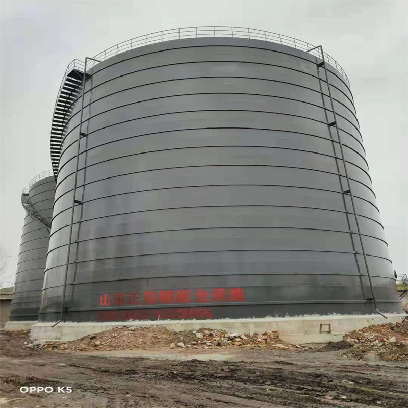 渠县3万吨大型钢板库