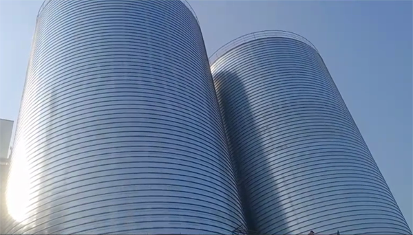 渠县2座混凝土高架卷板仓